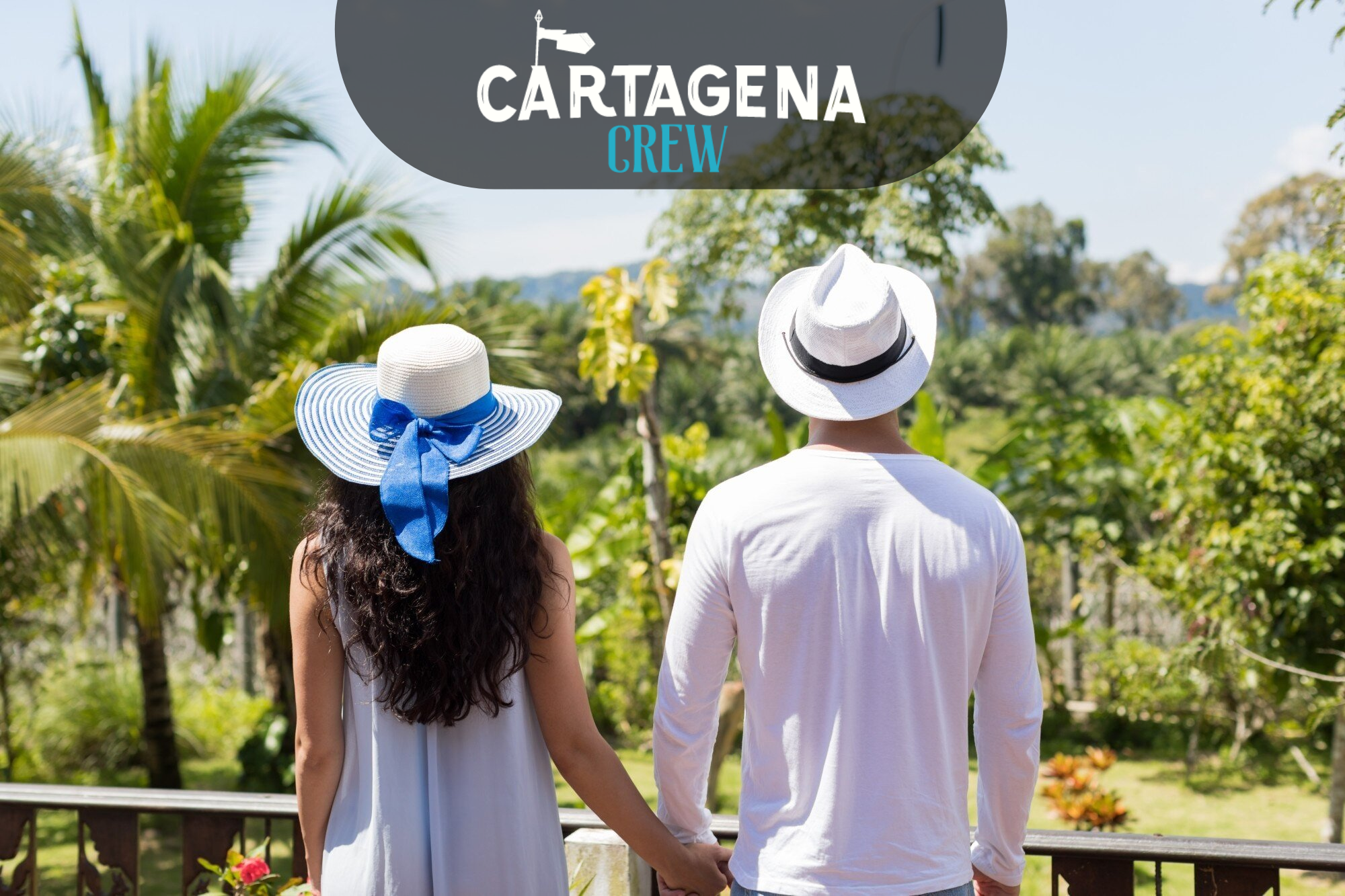 Cartagena’s activities